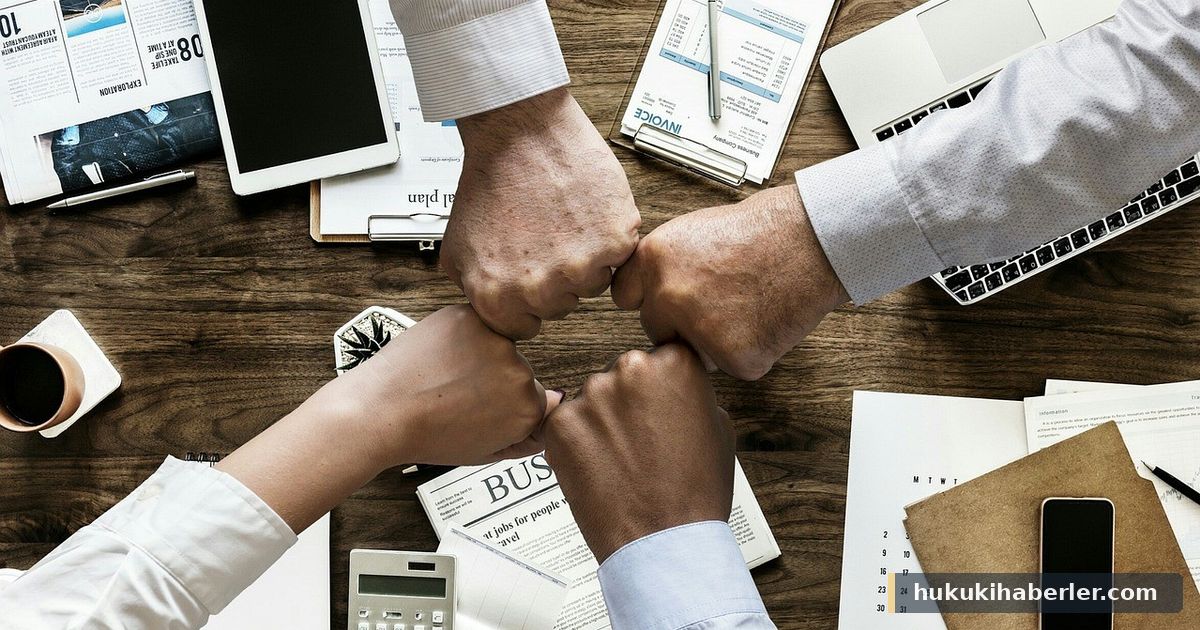Tera Yatırım Teknoloji Holding'e TMSF Kayyım Atandı: Süreç Nasıl İşler?
